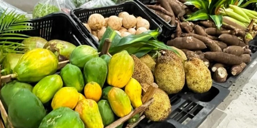 Programa de Aquisição de Alimentos beneficia agricultores familiares maranhenses em R$ 5,1 milhões.