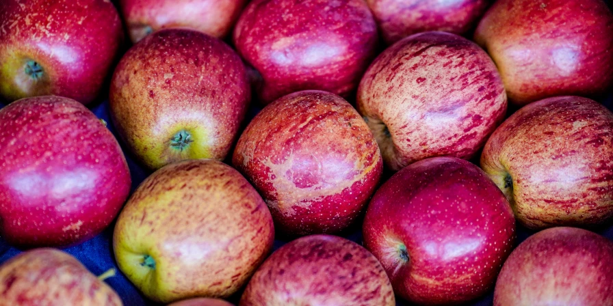 Companhia Nacional de Abastecimento (Conab) divulgou dados sobre exportação de frutas.