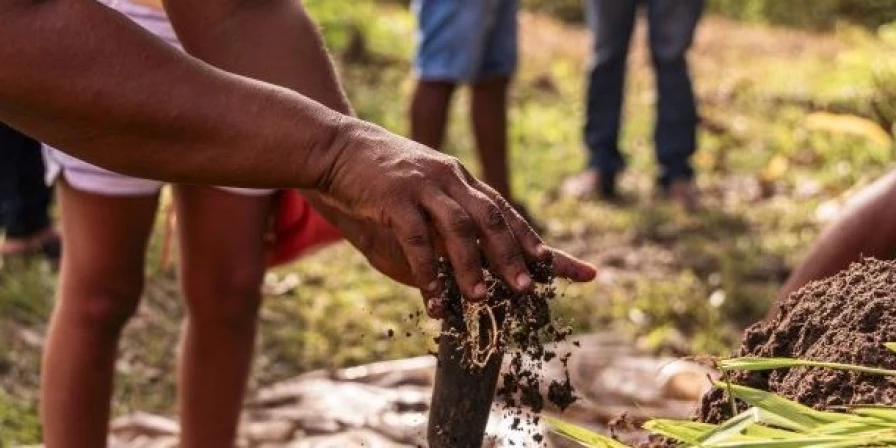 O levantamento considera a proporção de áreas que passaram por recuperação ambiental em relação ao total do território estadual.