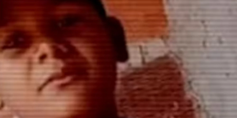 Carlos Eduardo, que brincava nas proximidades, foi atingido na cabeça e no abdômen.