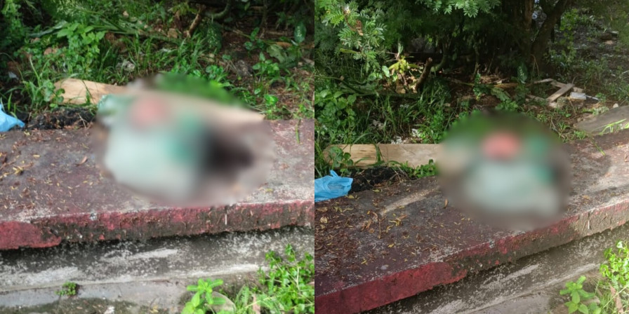 Feto em decomposição é encontrado próximo à rodoviária de Vitória do Mearim (Foto: Reprodução)