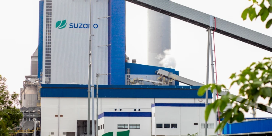 Líder global na produção de celulose e referência em bioprodutos a partir do eucalipto.