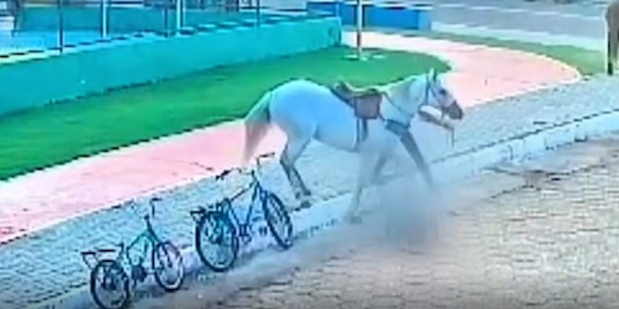 Cavalo se descontrola e atinge idosa em praça no interior do MA. (Foto: Reprodução/Redes Sociais) ((Foto: Reprodução/Redes Sociais))