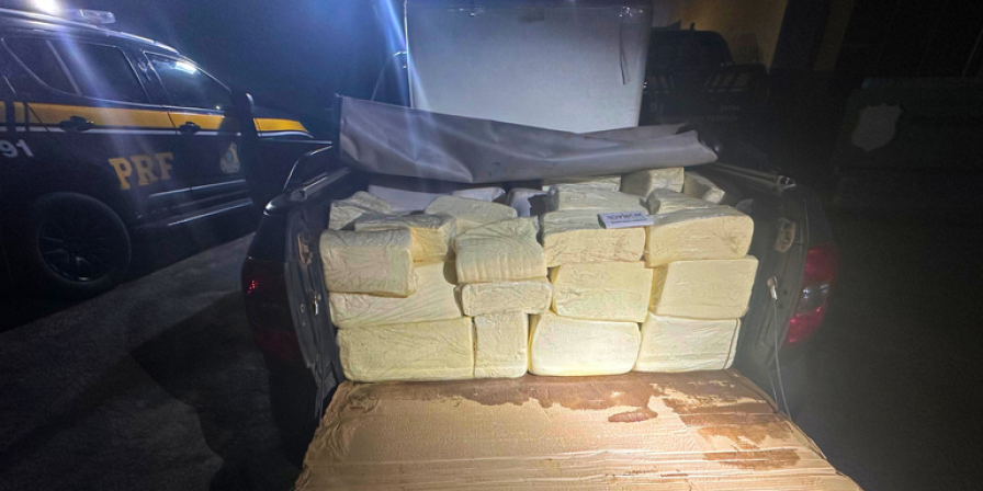 Ainda segundo a PRF, o condutor relatou que realiza esse tipo de transporte há anos. (Foto: Divulgação/PRF)