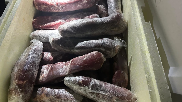 Os alimentos e o veículo foram encaminhados à Agência Estadual de Defesa Agropecuária do Maranhão (AGED-MA), que adotou as providências cabíveis. (Foto: Divulgação/PRF)