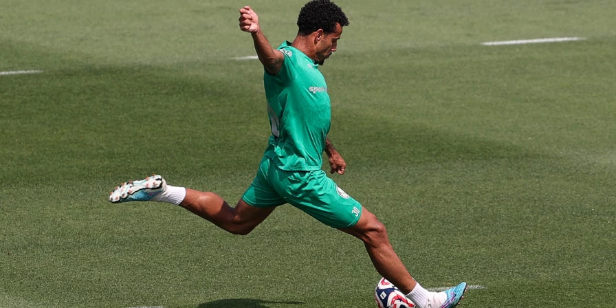Treino do Palmeiras.