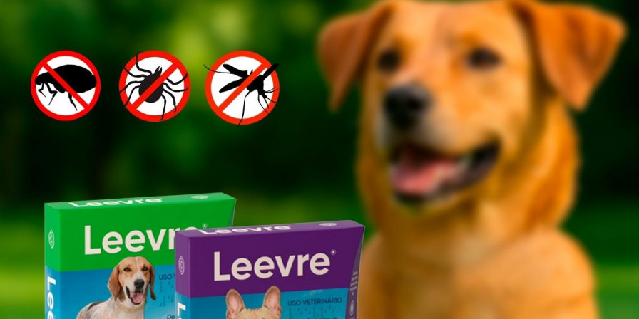A coleira Leevre para cães é um antiparasitário externo. (Foto: Divulgação)
