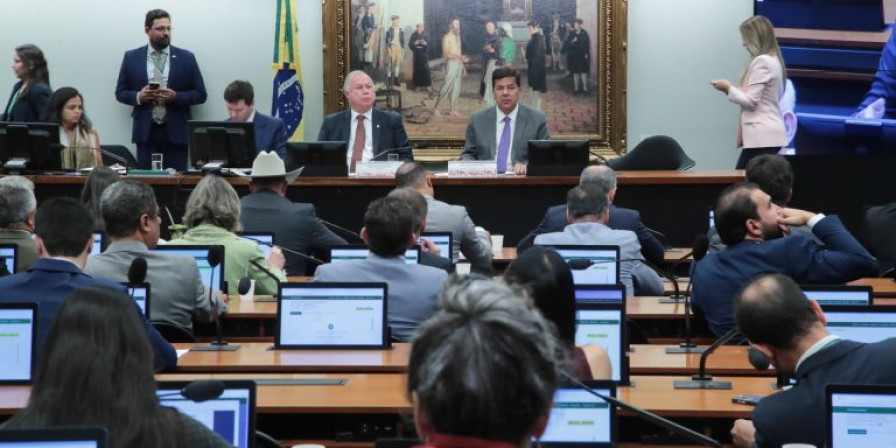 Reunião da CCJ (Divulgação)