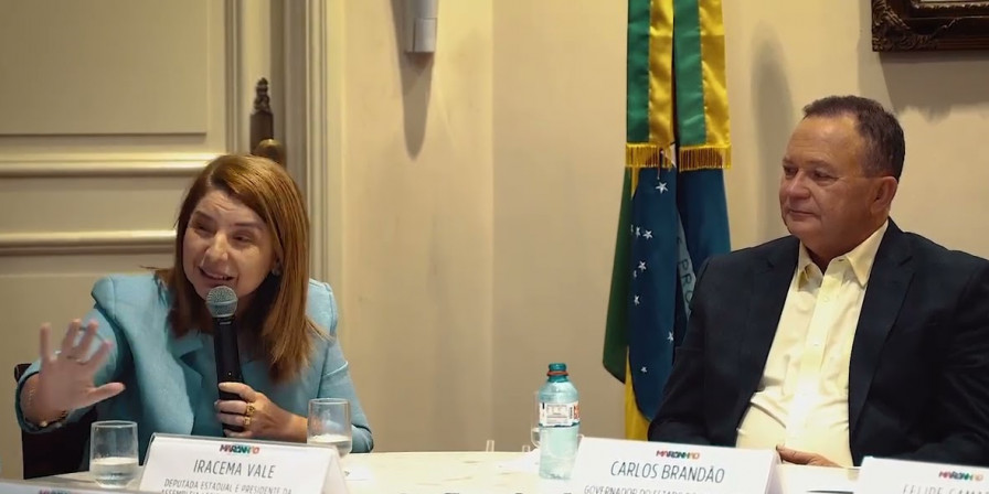 Petistas querem Iracema Vale de volta