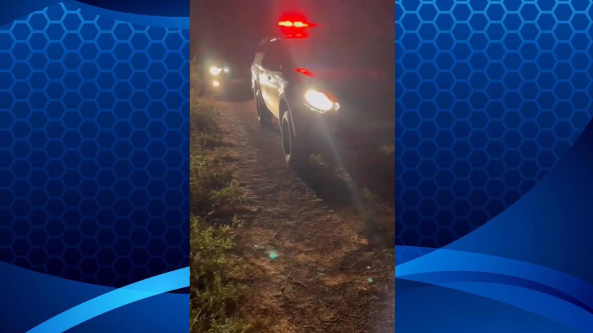 Polícia encontra quatro corpos em matagal, em Entroncamento.