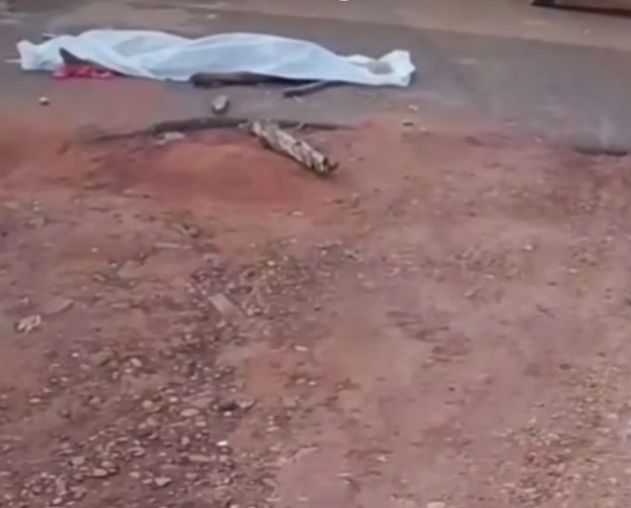 No corpo havia marcas de espancamento e pauladas. (Foto: Reprodução/Redes sociais)