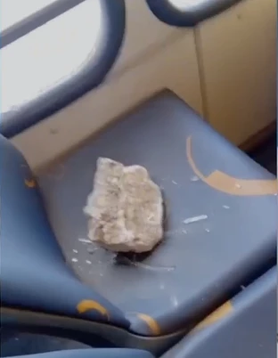 Segundo o sindicato, a situação tem gerado preocupação entre trabalhadores do transporte público e passageiros. Foto: Reprodução