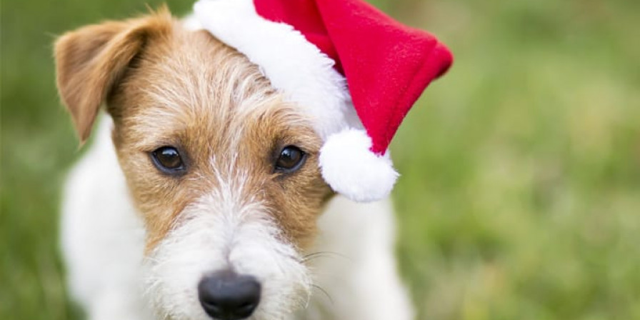 Campanha solidária em São Luís