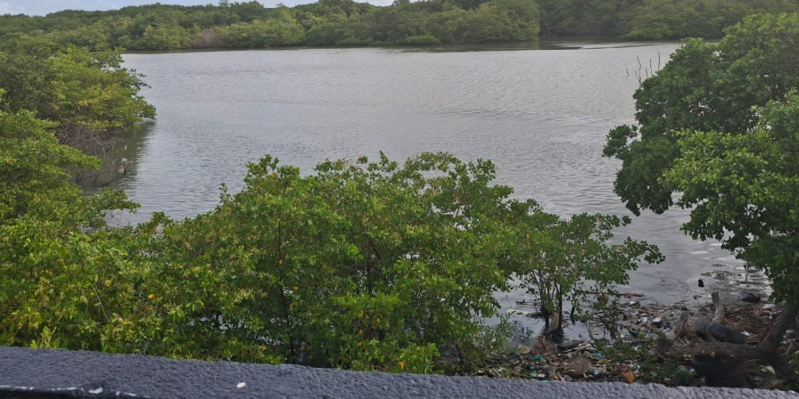 Jovem Desaparece no Rio Anil