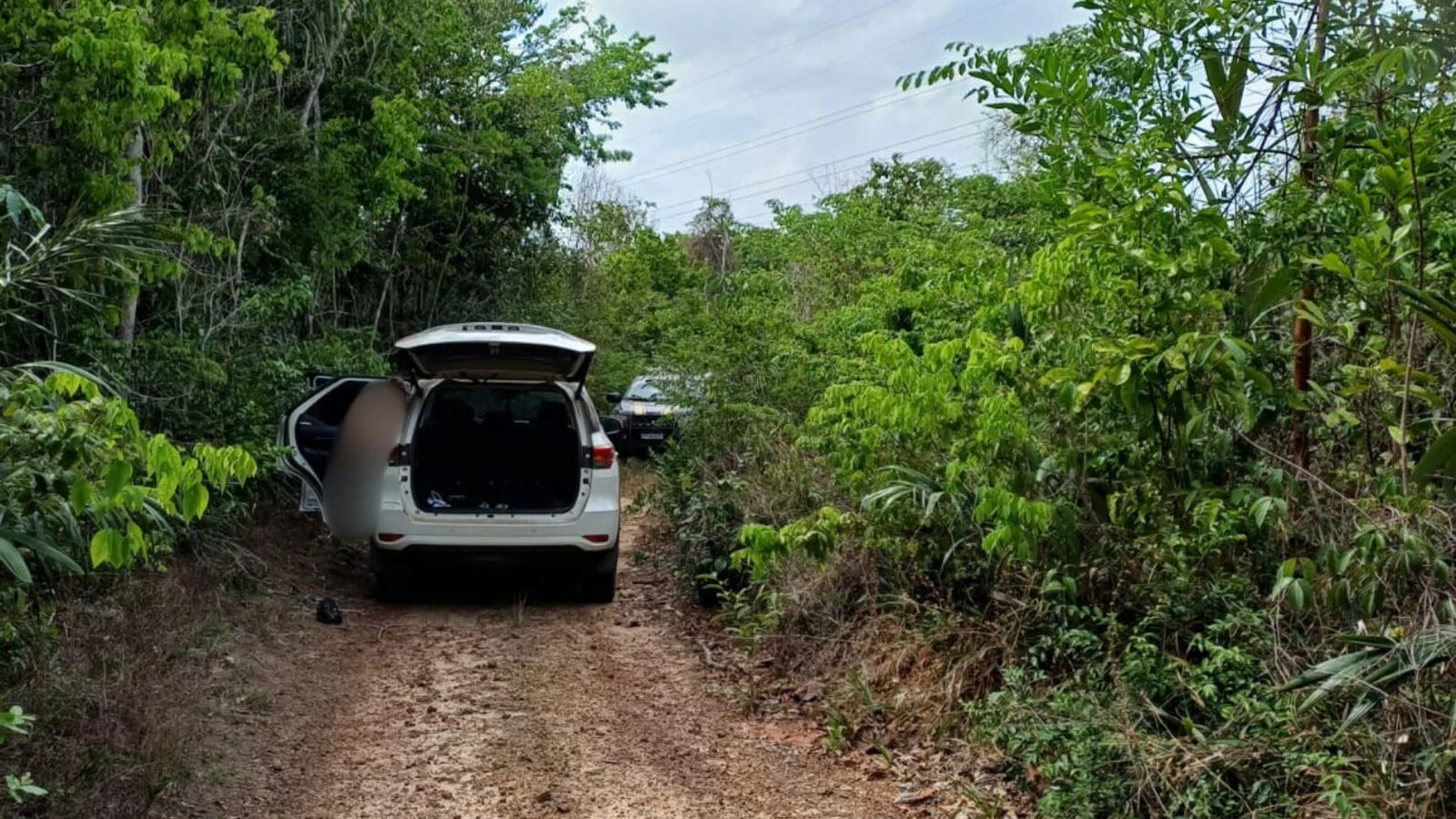 Após render o casal, os autores do sequestro obrigaram as vítimas a seguir até um matagal próximo.