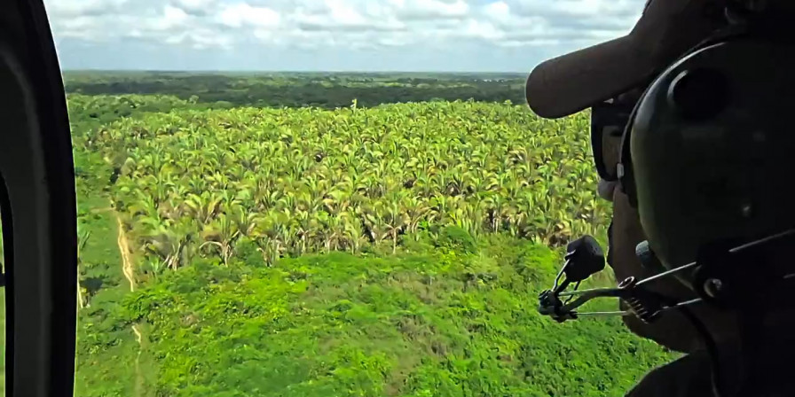 Crianças Desaparecidas em Bacabal
