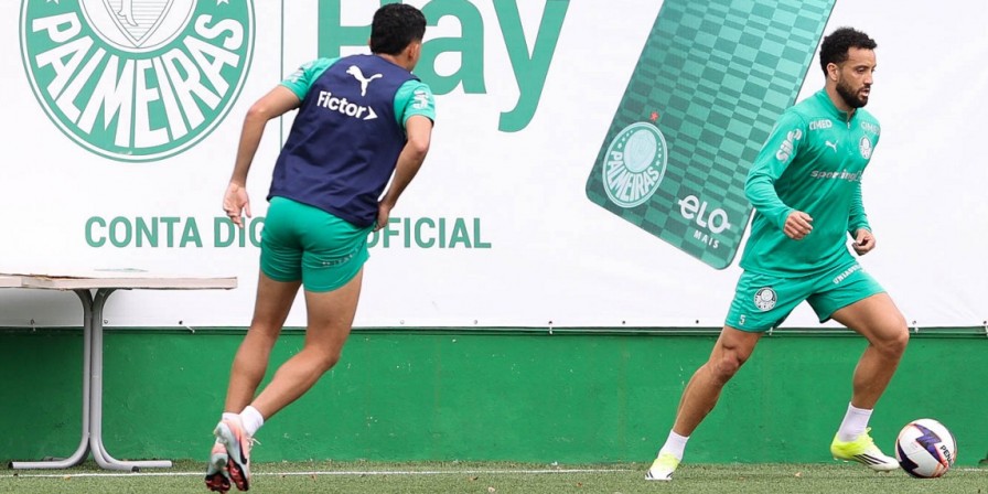 Palmeiras Treina