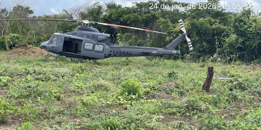 Drogas avaliadas em R$ 2,5 milhões apreendidas