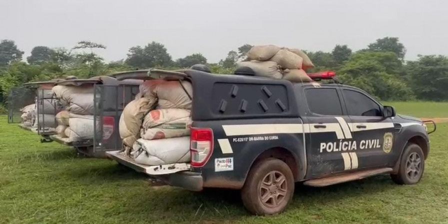 2 toneladas de maconha apreendidas