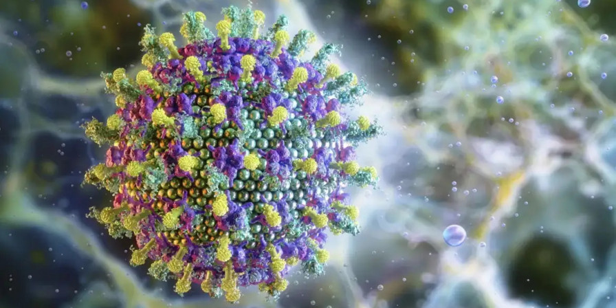 Vírus Nipah: Alerta Global