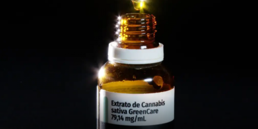 Anvisa aprova cultivo de cannabis