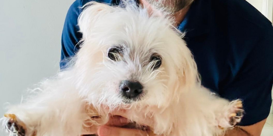 Yuki, a Neve de Pelos Brancos