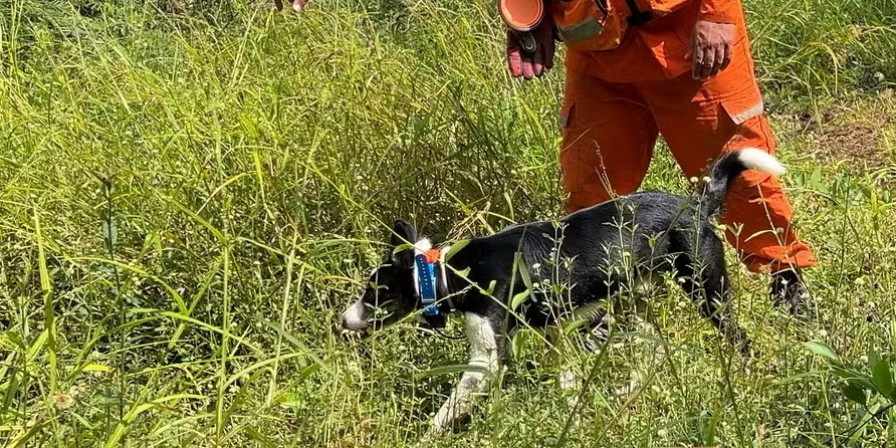 Crianças desaparecidas em Bacabal