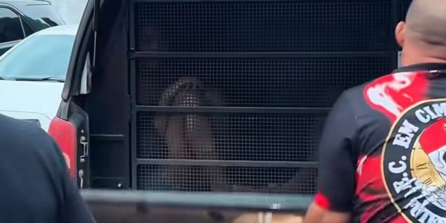 Mãe e Padrasto Presos