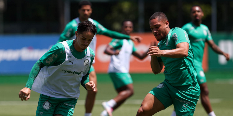 Palmeiras Preparado