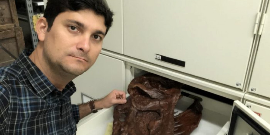 Nova espécie de dinossauro