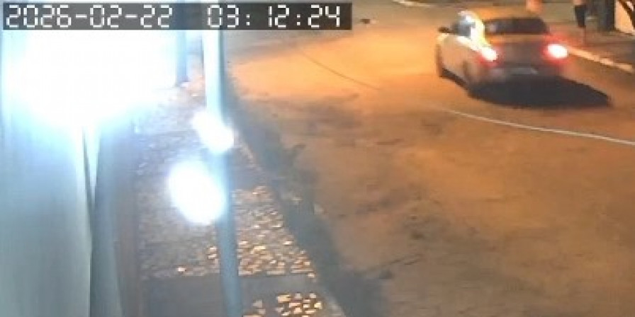 Homem atropela cachorro