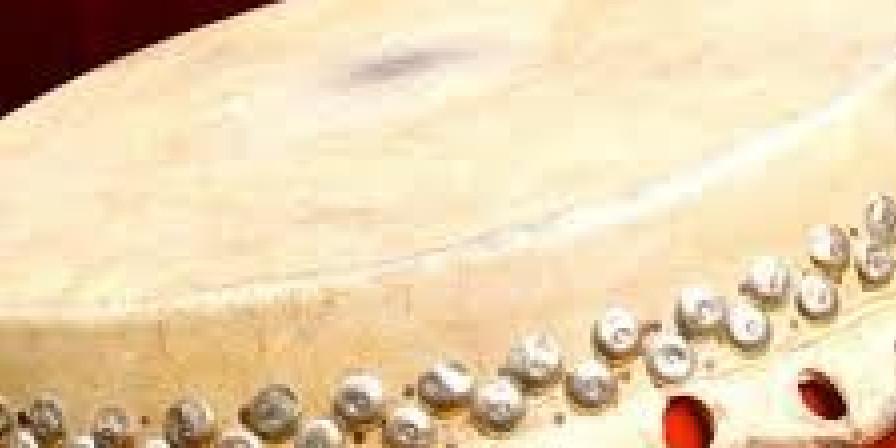 Matriarcas do Tambor de Mina