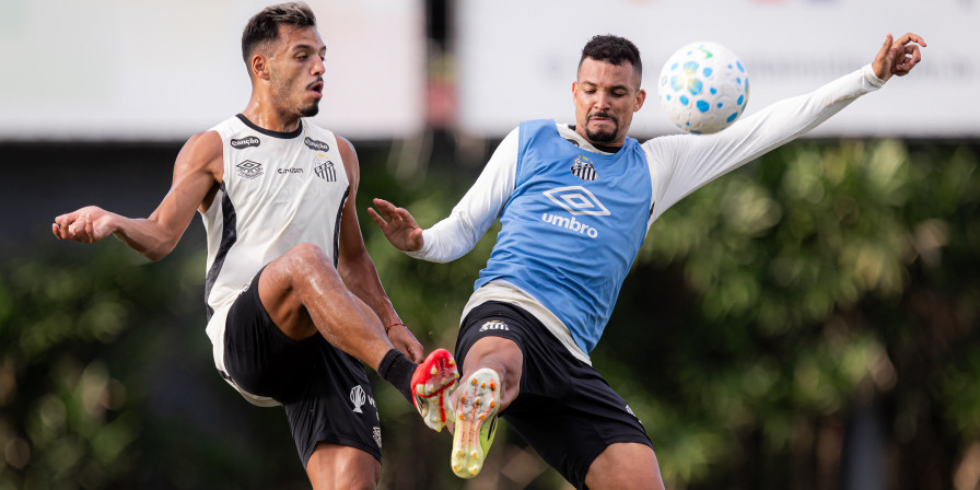 Santos se prepara para retomada do Brasileirão