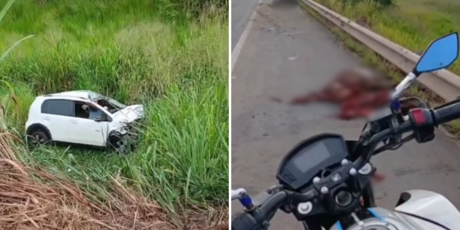 Cavalos morrem em acidente