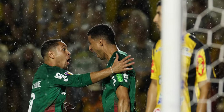 Palmeiras Conquista Paulistão
