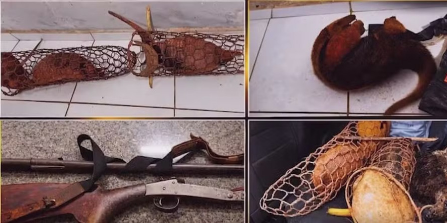 Caça Ilegal em Pastos Bons