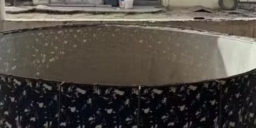 Mulher presa por criar galos de briga