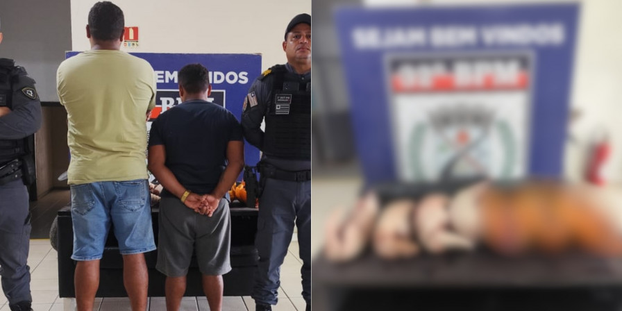 Homem Preso por Transportar Tatus Mortos
