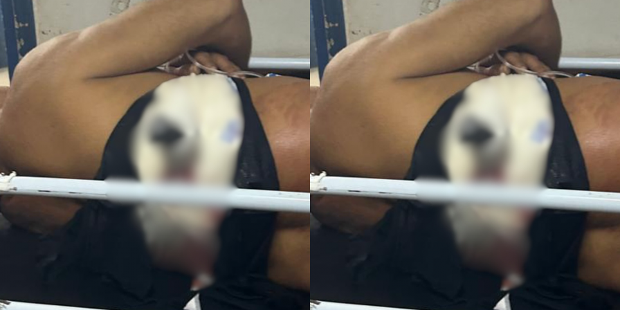 Mulher esfaqueia marido