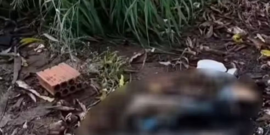 Perna humana encontrada em Imperatriz