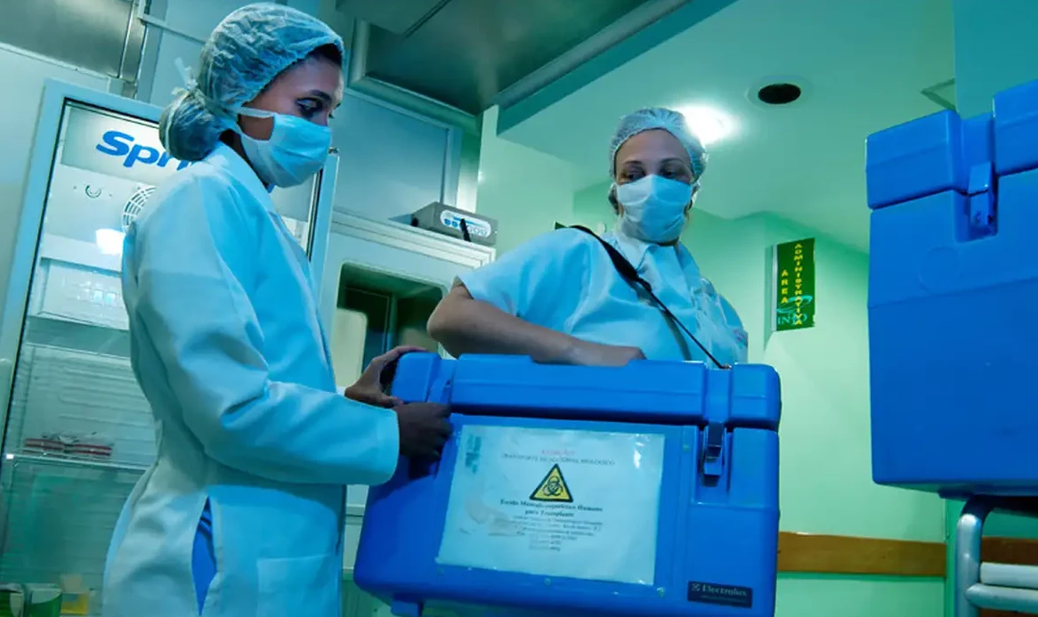 Mais de 49 mil brasileiros esperam por transplante; veja como funciona a doação de órgãos.