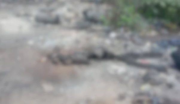 Exame de DNA confirmou a identidade da vítima como Helton Melonio Pereira.
