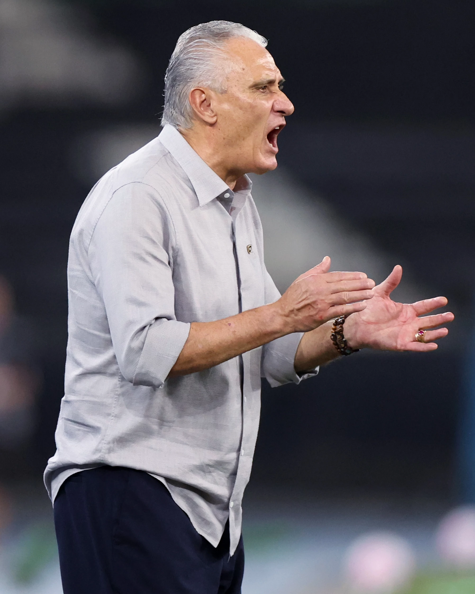 Tite, técnico do Botafogo.