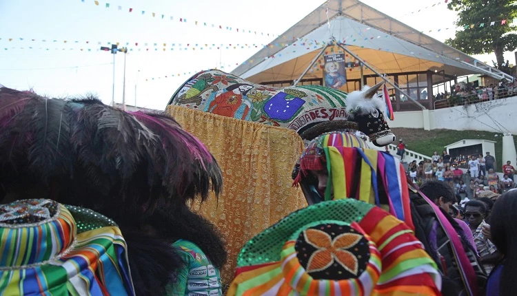 Bois reverenciam São Pedro, durante festa na Madre Deus