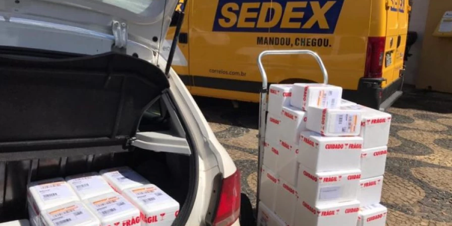 Organização criminosa efetuava roubos de objetos postais transportados por caminhões de empresas prestadoras de serviços aos Correios