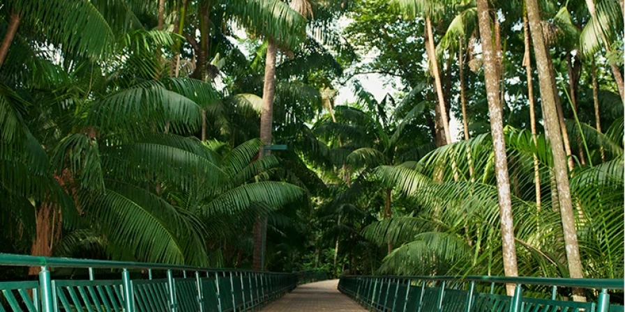 Vista do Parque Botânico da Vale, que possui um orquidário, cerca de 30 espécies e abriga coleções de vários biomas brasileiros