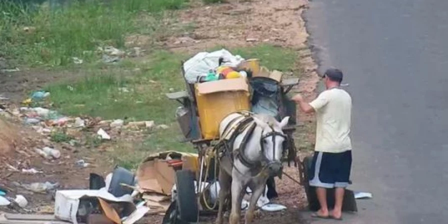 Câmeras de videomonitoramento flagram carroceiros sujões descartando lixo em via pública em Imperatriz